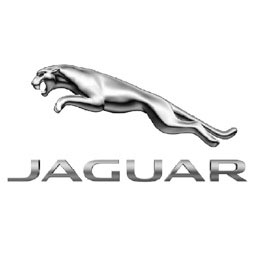 Jaguar Jaguar